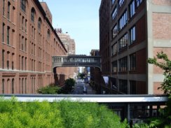 Photo of the New York City High Line