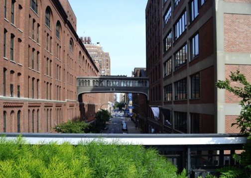 Photo of the New York City High Line