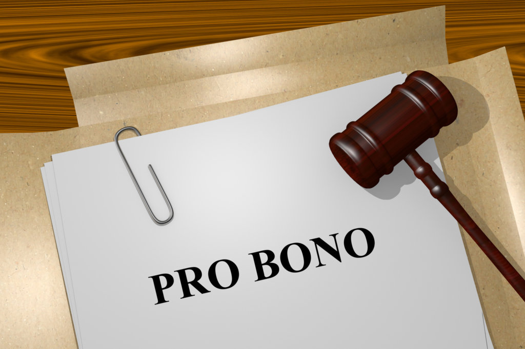 Pro Bono Preview Image