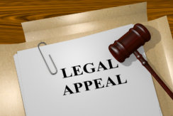 Legal Appeal Preview Image
