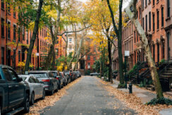 Street view of Brownstones during the fall season in Brooklyn Heights, New York City
