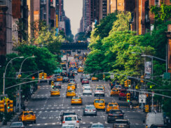 Road traffic in New York City in the daytime with bright green trees lining the street.
