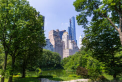 View from central park with lush greenery surrounding the pond and a view of city buildings.